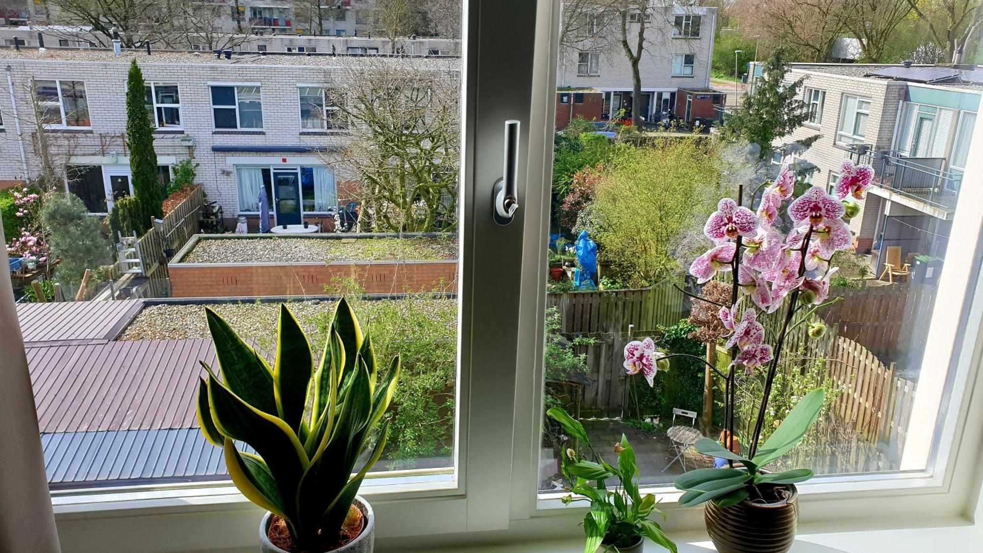 Amor Guesthouse Amsterdam Exterior foto